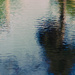 Palm Puddle 