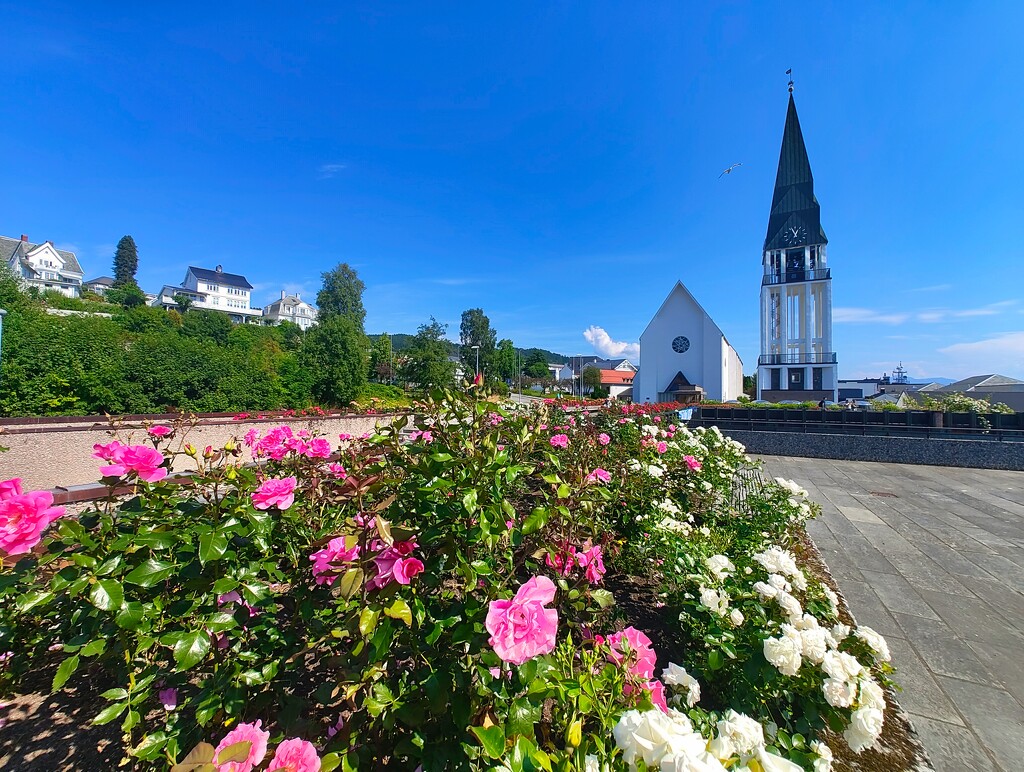The city of roses by okvalle