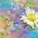 Echoes in watercolour~~~~~ by ziggy77