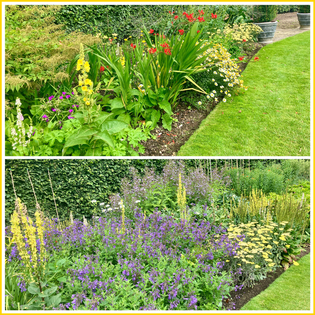 Herbaceous Borders by foxes37