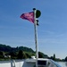 The fish flag. 