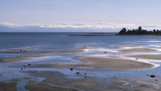 19th Jul 2025 - Rathtrevor Beach