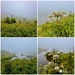 July foggy 😊 by mubbur