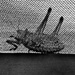 Jump hopper trapped in the window 