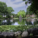 Pond at Goodale Park by ggshearron