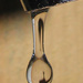 Drip by onewing