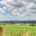 Scenic with silos by mittens