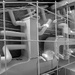 Exposed ceiling pipes by zilli