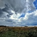 Dramatic Sky by carole_sandford