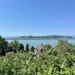 Morat lake. 