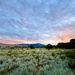 Pinyon Flats Campsite View by kvphoto