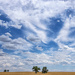 summer sky by aecasey