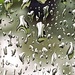 Rain again! by bigmxx