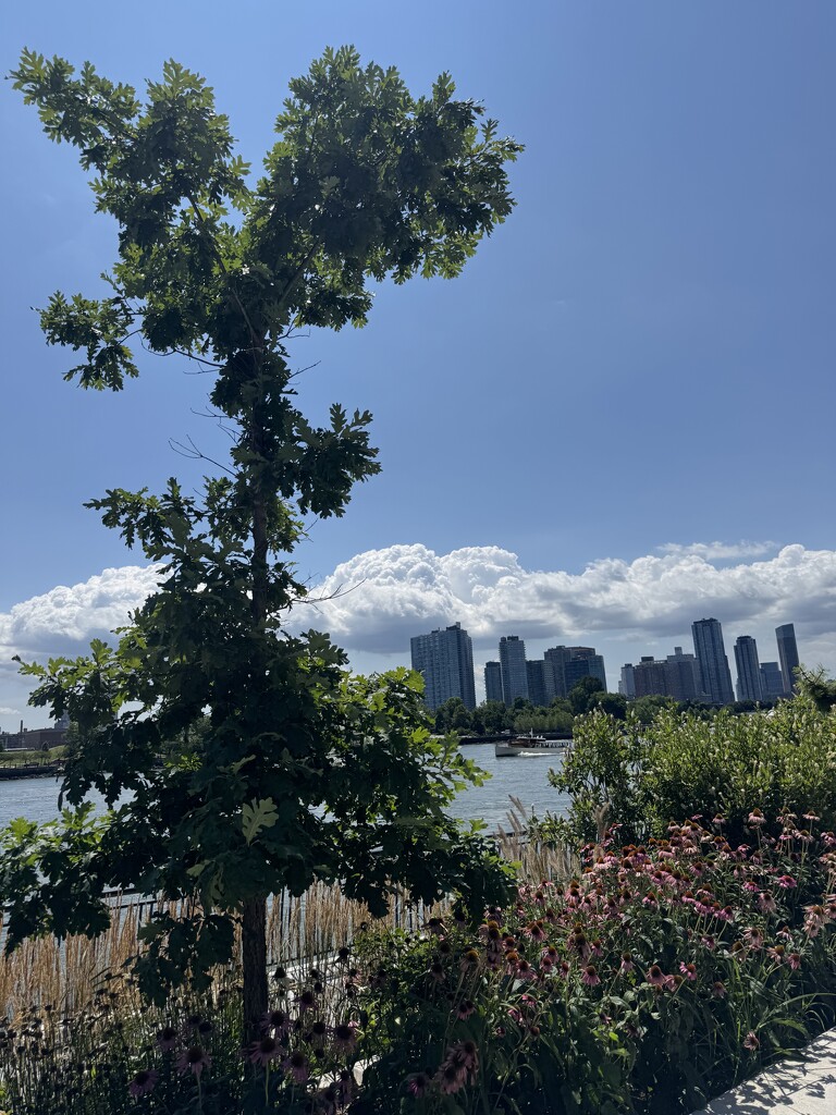 Speeding along  by blackmutts