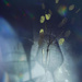 Abstract Still Life  by joysabin