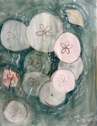 23rd Jul 2025 - A group of sand dollars 