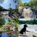 Chutes Provincial Park