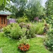 The Back Garden by susiemc