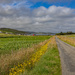 Walk to Leebitton by lifeat60degrees