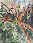 24th Jul 2025 - Quetzal in Avocado Tree