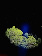23rd Jul 2025 - Starry night 