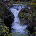 Little Qualicum Falls by cdcook48
