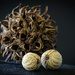 Seed pods