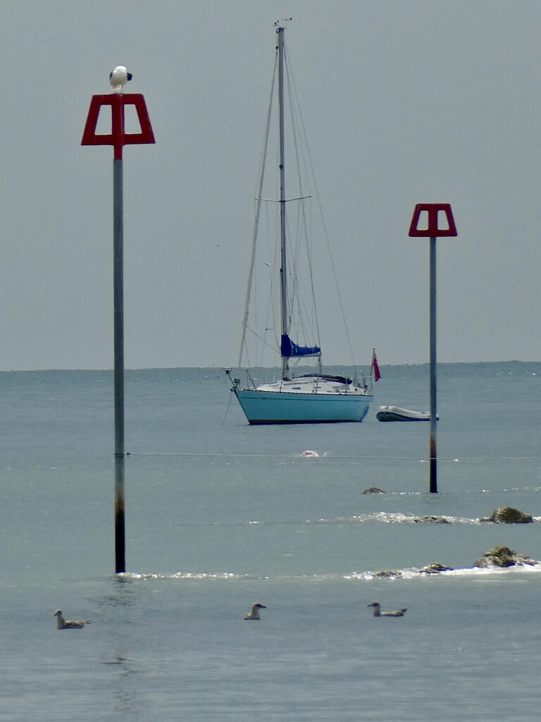 Marking the way. by wakelys