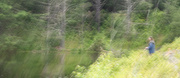 17th Jul 2025 - Fishing-2