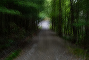 17th Jul 2025 - Path