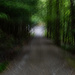 Path by darchibald
