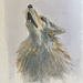 Howl