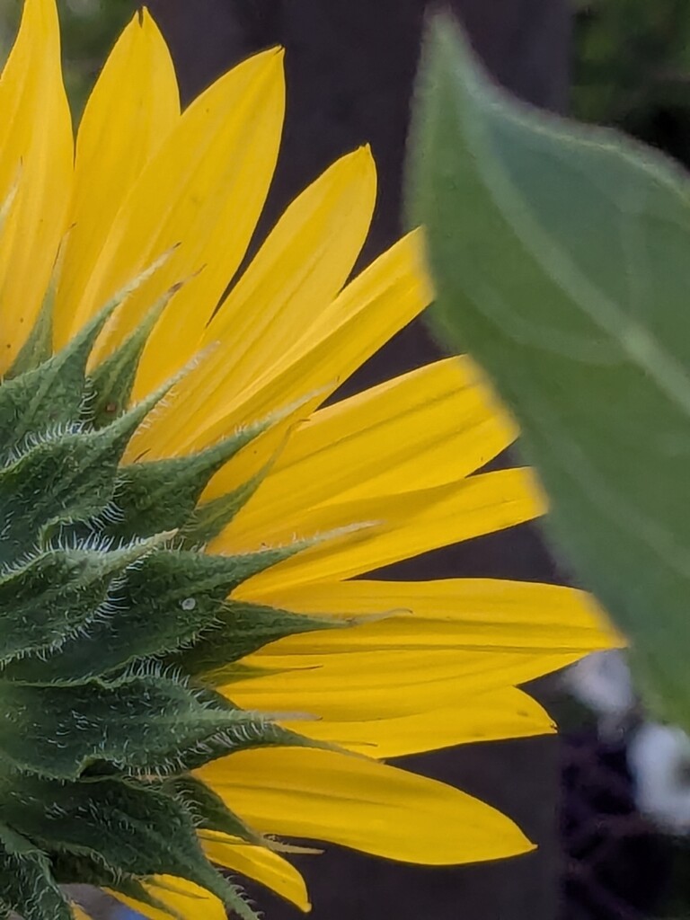 the other side by wakuwaku