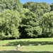 The grounds 