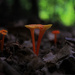 Deep in the Ravine by juliedduncan