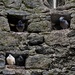 neighbours by cocokinetic
