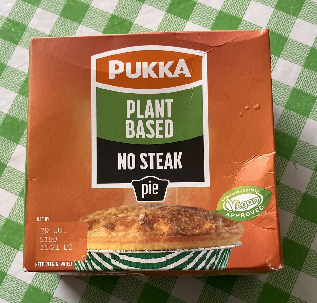 Vegan Steak Pie by g3xbm