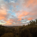 Summer Skies