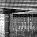 Lines and tones by haskar