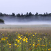 And the Fog Rolls In