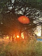 27th Jul 2025 - Sunset on Agde. 