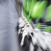 Lime scooters