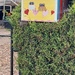 email_photo_1920217480