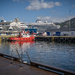 A tug and two cruise ships
