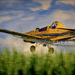 Crop Duster Daredevils