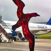 Faroese wings