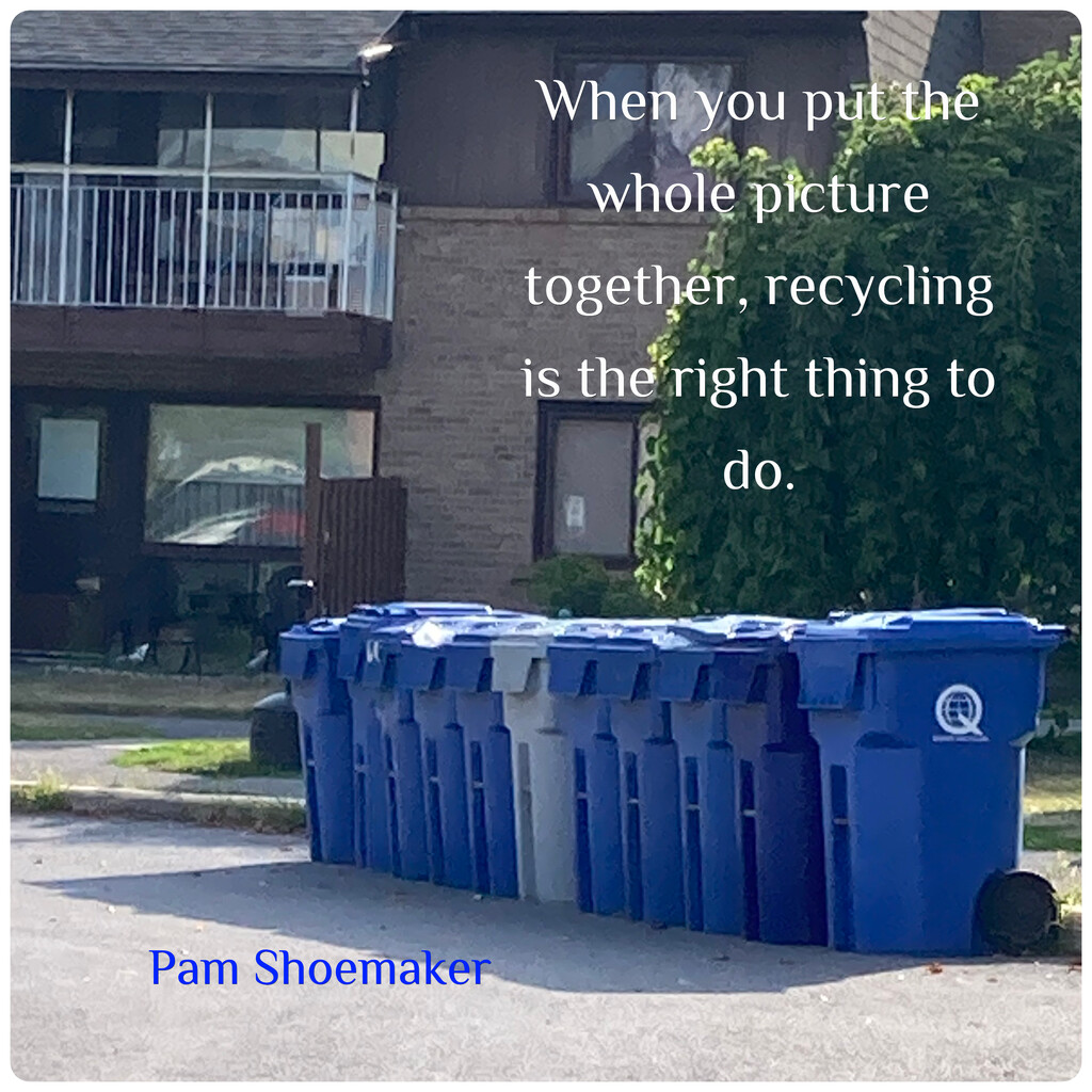 Recycle Your Junk! by spanishliz