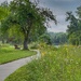 a walk in the park