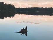 27th Jul 2025 - Nessie, is that you?
