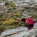 Forgotten Love